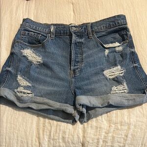 Eunina Blue Distressed high rise mom shorts